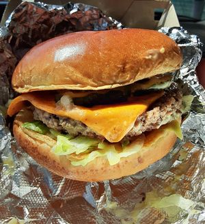 The OG! at Stand-Up Burgers in Berkeley