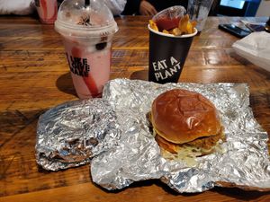 Shake and Fries with FreeBird chicken sandwich at Stand-Up Burgers in Berkeley