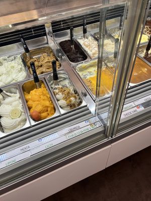 Vegan Ice Cream in green letters   at Gelateria Bosisio in Sassari