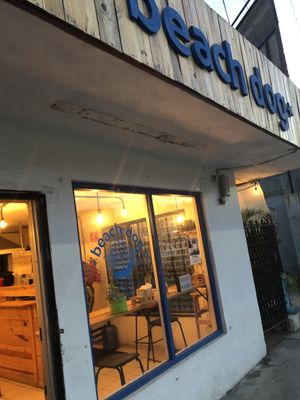 Beach Dog at Beach Dog in San Jose Del Cabo