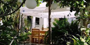 Secret garden at Beach Dog in San Jose Del Cabo