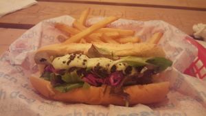 Galgo dog😄 at Beach Dog in San Jose Del Cabo