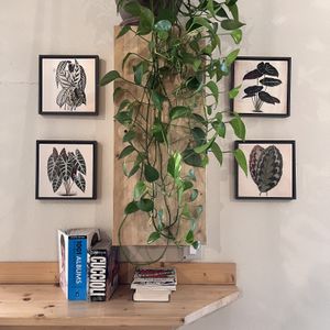 Inside   at Zazie in Verona