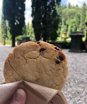 Vegan cookie  at Zazie in Verona