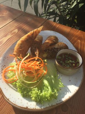 Crispy Buddha Rolls  at Vietal Kitchen in Stuttgart
