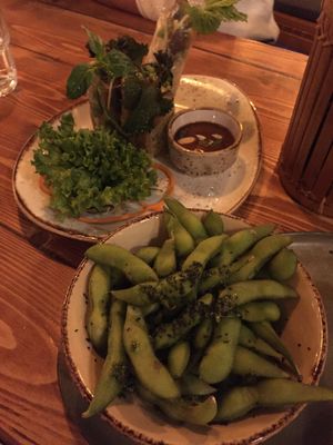 Edamame and summer rolls  at Vietal Kitchen in Stuttgart