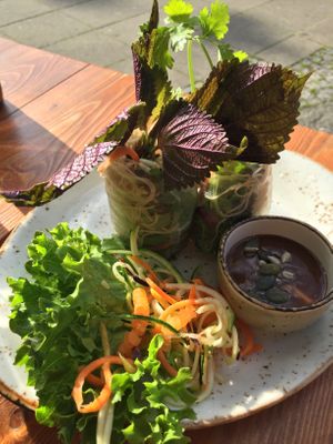 Buddah summer rolls  at Vietal Kitchen in Stuttgart