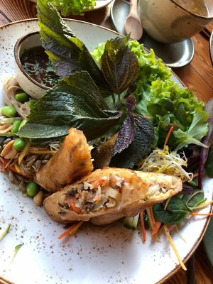 noodles with spring rolls  at Vietal Kitchen in Stuttgart