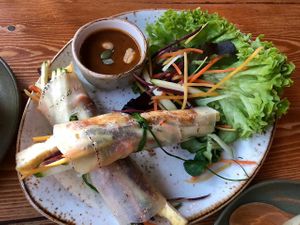 starter: spring rolls at Vietal Kitchen in Stuttgart