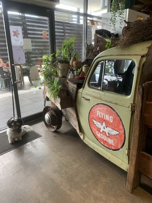 Inside cafe   at Farmer & Sun in Gympie