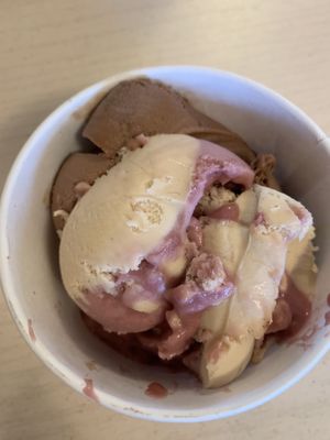 Peanut butter and jelly and chocolate spice vegan gelato  at The International Delight Cafe in Bellmore