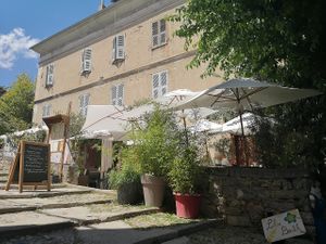relaxing patio under the trees at A Casa di l'orsu in Corsica