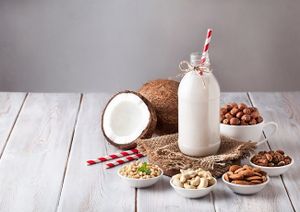 Vegan Dairy Nepal is a home-based store that serves wide range of Vegan food products from Nut Milk to Cashew Cheese spread to Soy Yogurt to even Vegan Rasgulla. 

Let us know a day in advance for next day pick up. at Vegan Dairy Nepal in Kathmandu