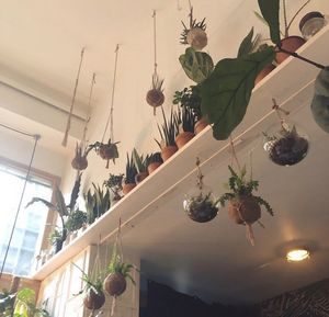   at The Greens in Berlin