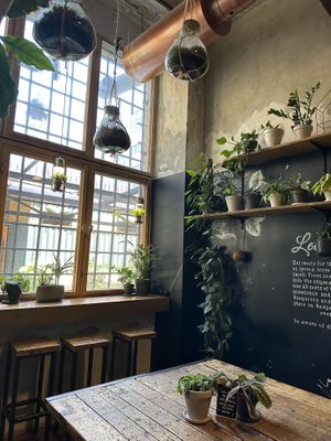 Vibes  at The Greens in Berlin