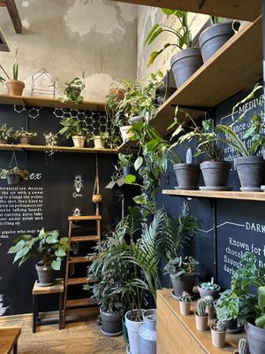 Vibes  at The Greens in Berlin