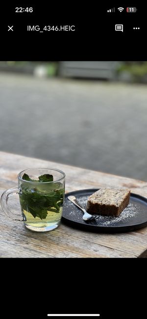   at The Greens in Berlin