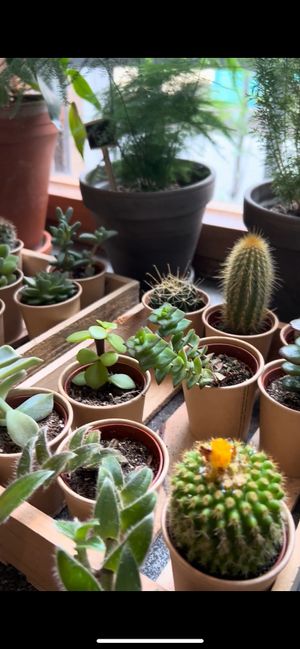   at The Greens in Berlin