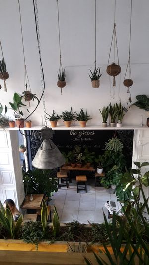 The Greens at The Greens in Berlin