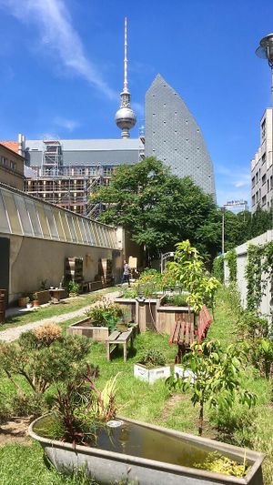 Urban garden at The Greens at The Greens in Berlin