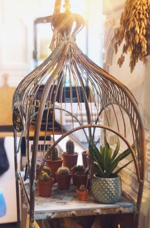 Green planet  at The Greens in Berlin