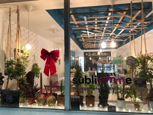 A great choice in Bucharest  at Sublimmme in Bucharest