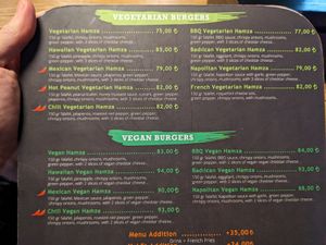 Don't get the regular Hamza at Mr Hamza in Istanbul