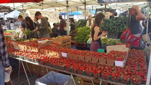 Strawberries.... at Grand Lake Farmers Market in Oakland