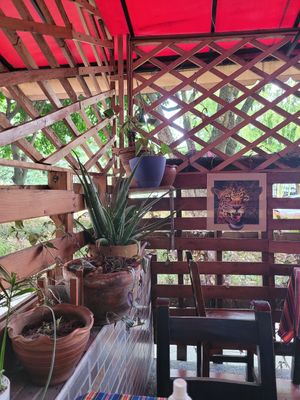 el restaurante at Alma Natura in Medellin