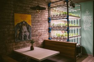 Futuristic Hydroponics! at Suncraft in Bristol