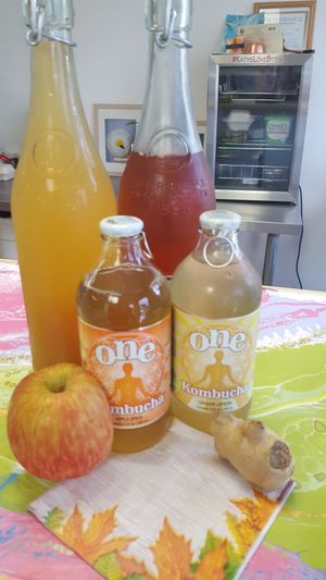 Delicious Kombucha at Katy's Lovebites in Lake Park