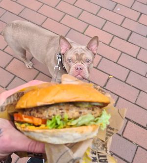 New Lentilburger veglentil at Vincent - Mercado Center in Hamburg