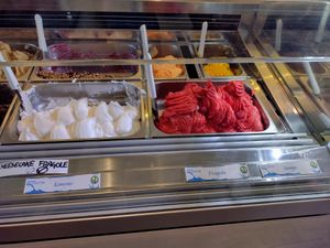 Vegan options at Azzurra Ice Cream in Alghero