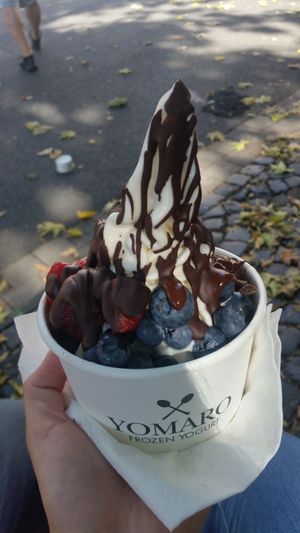 Sojaeis mit Erdbeeren, Blaubeeren, Zartbitterschokostückchen und Zartbittersoße at YOMARO - Königsstraße in Muenster