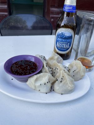 Gyosas al vapor (steamed gyosas) #Veganuary at Vegan Dealer in Santiago
