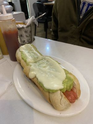 Completo   at Vegan Dealer in Santiago