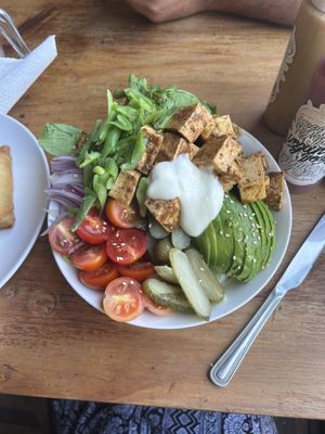 A jumbo saladd  at Vegan Dealer in Santiago