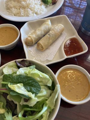 Spring rolls and side salad with ginger dressing.  at Ye's Asian Vegan Kitchen in Hilliard