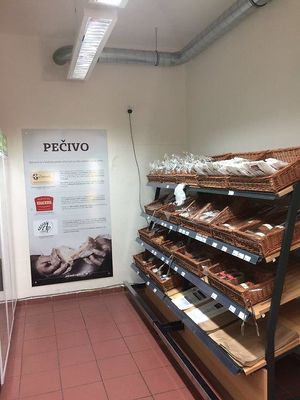 Moje ZV at Moje ZV in Prague