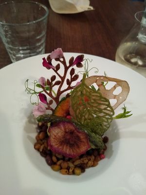 Sorbet starter at Saido in Tokyo