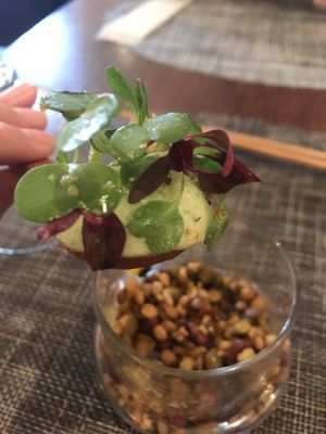 Soup starter at Saido in Tokyo