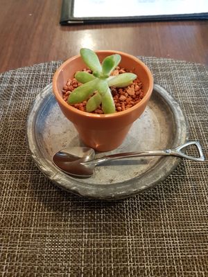 Cheesecake at Saido in Tokyo