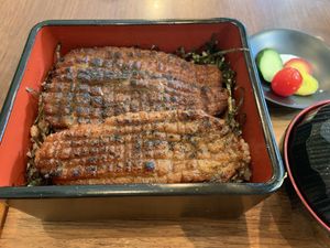 Vegan unagi set!  at Saido in Tokyo