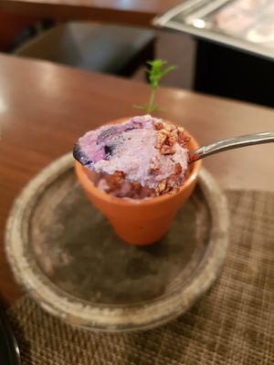 Vegan blueberry cheesecake at Saido in Tokyo
