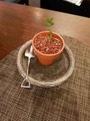 Vegan blueberry cheesecake at Saido in Tokyo