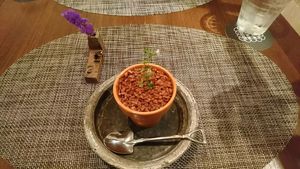 Cheesecake at Saido in Tokyo