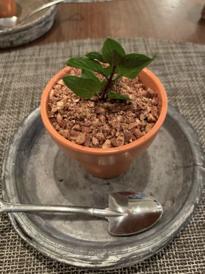 Blueberry cheese cake at Saido in Tokyo