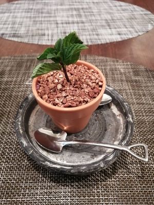 Cheese cake at Saido in Tokyo