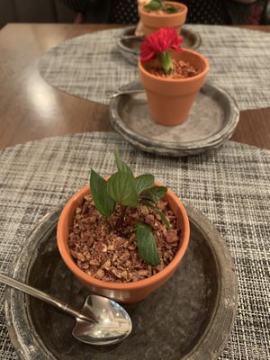 Blueberry cheesecake or real plant??  at Saido in Tokyo