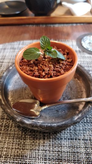 Blueberry cheesecake at Saido in Tokyo